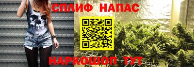 СК Донецк