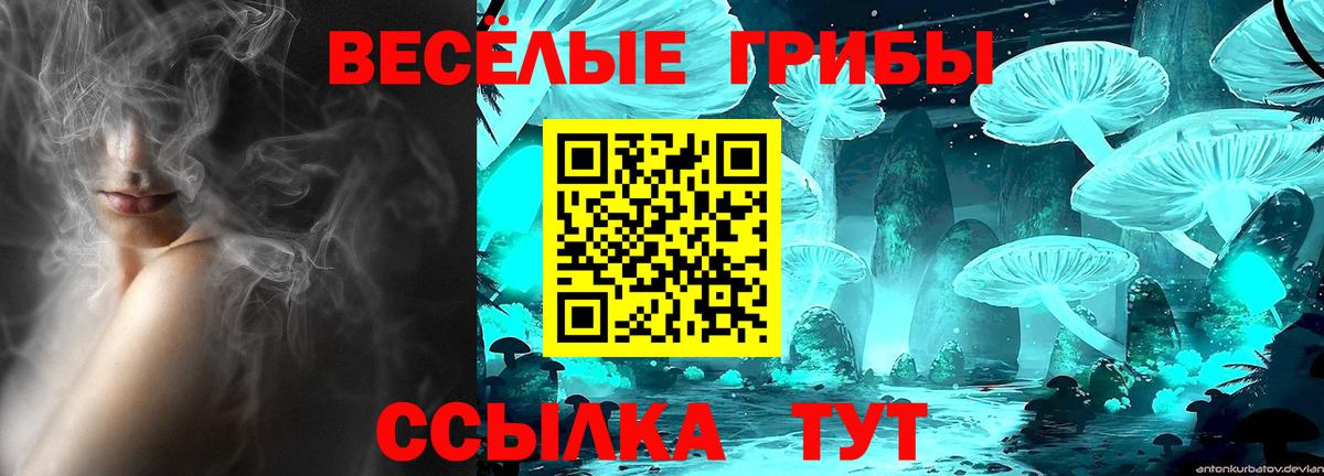 Арзамас  купить  цена  Вход с VPN  Галлюциногенные грибы GOLDEN TEACHER 
