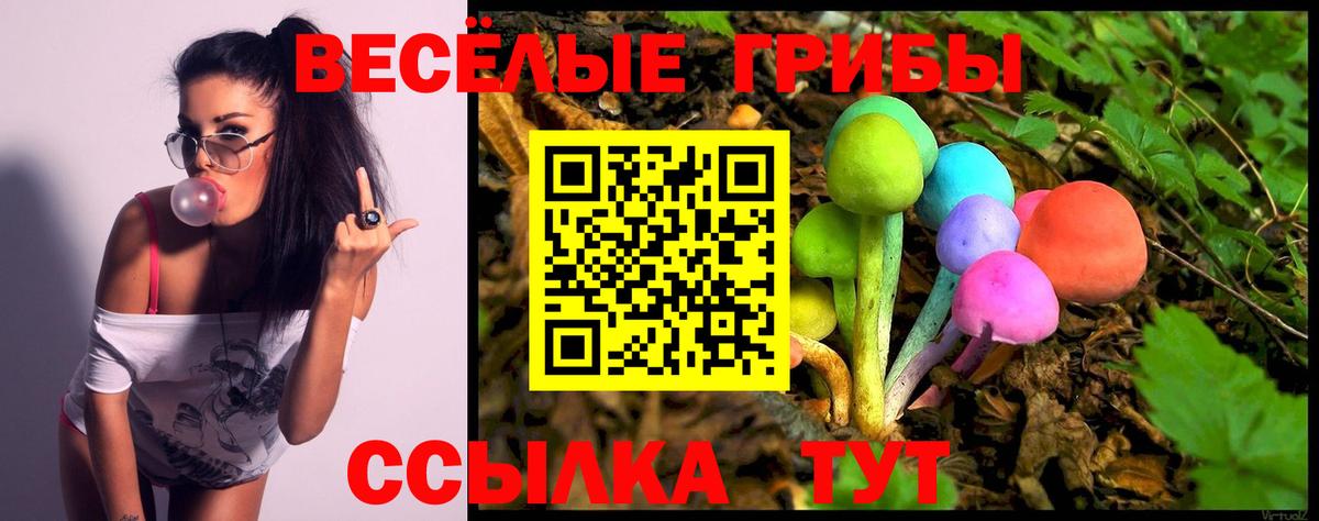 ГАШИШ  ТГК  Арзамас  Меф кристаллы  LSD-25  Вход с VPN  Каннабис 